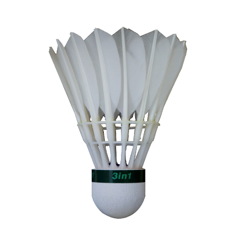 ウインザーオンラインショップトマスカップ ハイブリッド フェザー 01