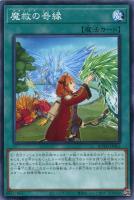 異次元の指名者【遊戯王トレカお買得価格通販：CBトレコロ】