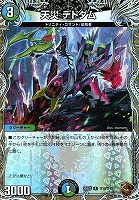 魔誕の斬将オルゲイト[宝箱金]【デュエルマスターズトレカお買得価格