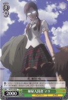 零号機パイロット 綾波【ヴァイスシュヴァルツトレカ高価買取価格査定