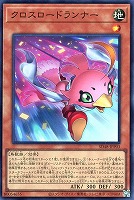 カードを買う/遊戯王/ストラクチャーデッキ（第11期以降）/SD48