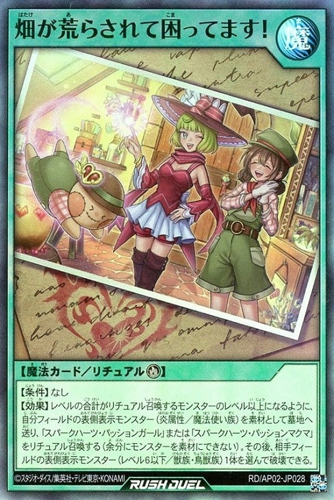 リベンジ・ハーツ」スパークハーツ 3コンセット【遊戯王RDトレカお買得