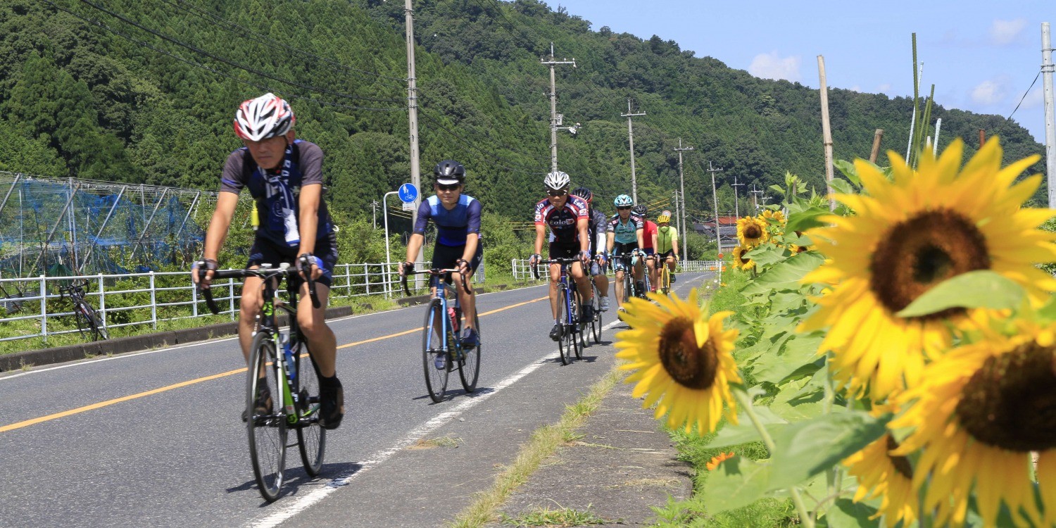 やずわかさいくる｜特集｜鳥取市観光サイト【公式】 - 鳥取市の