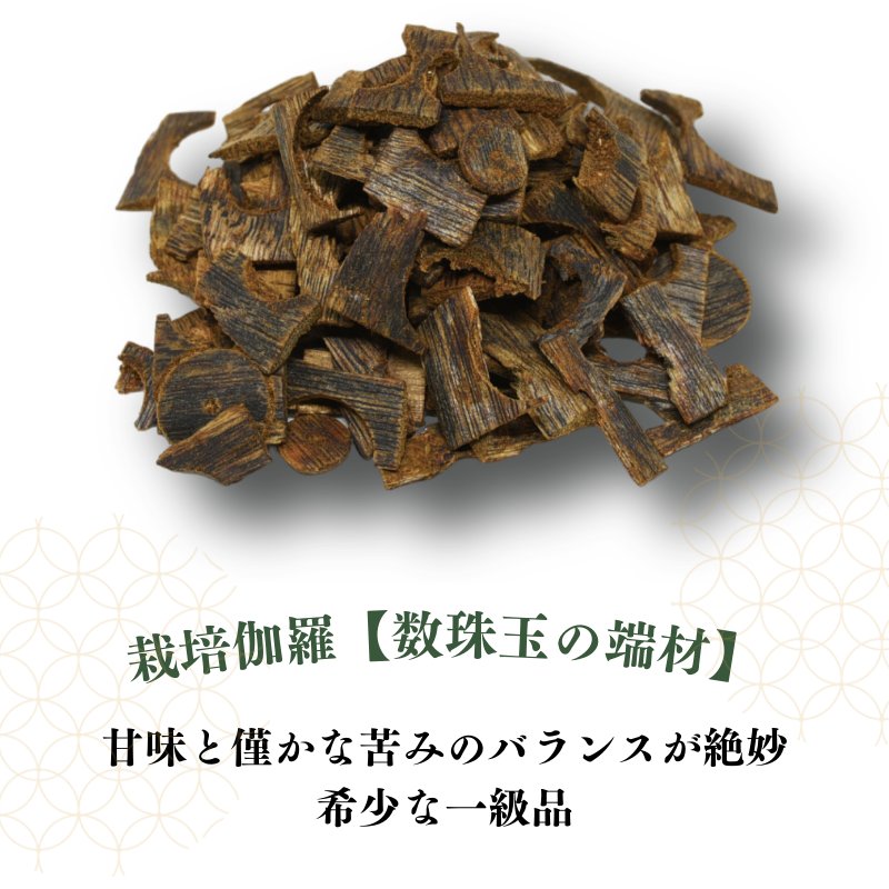 栽培伽羅・沈香【数量限定】
