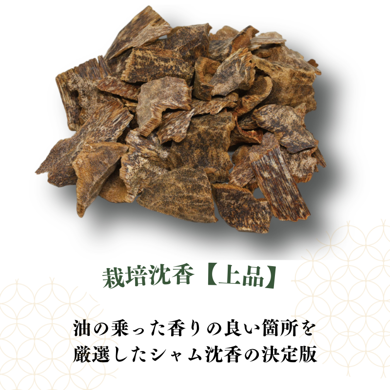 栽培伽羅・沈香【数量限定】