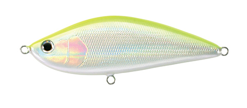 TACKLEHOUSE:SALTY SHAD