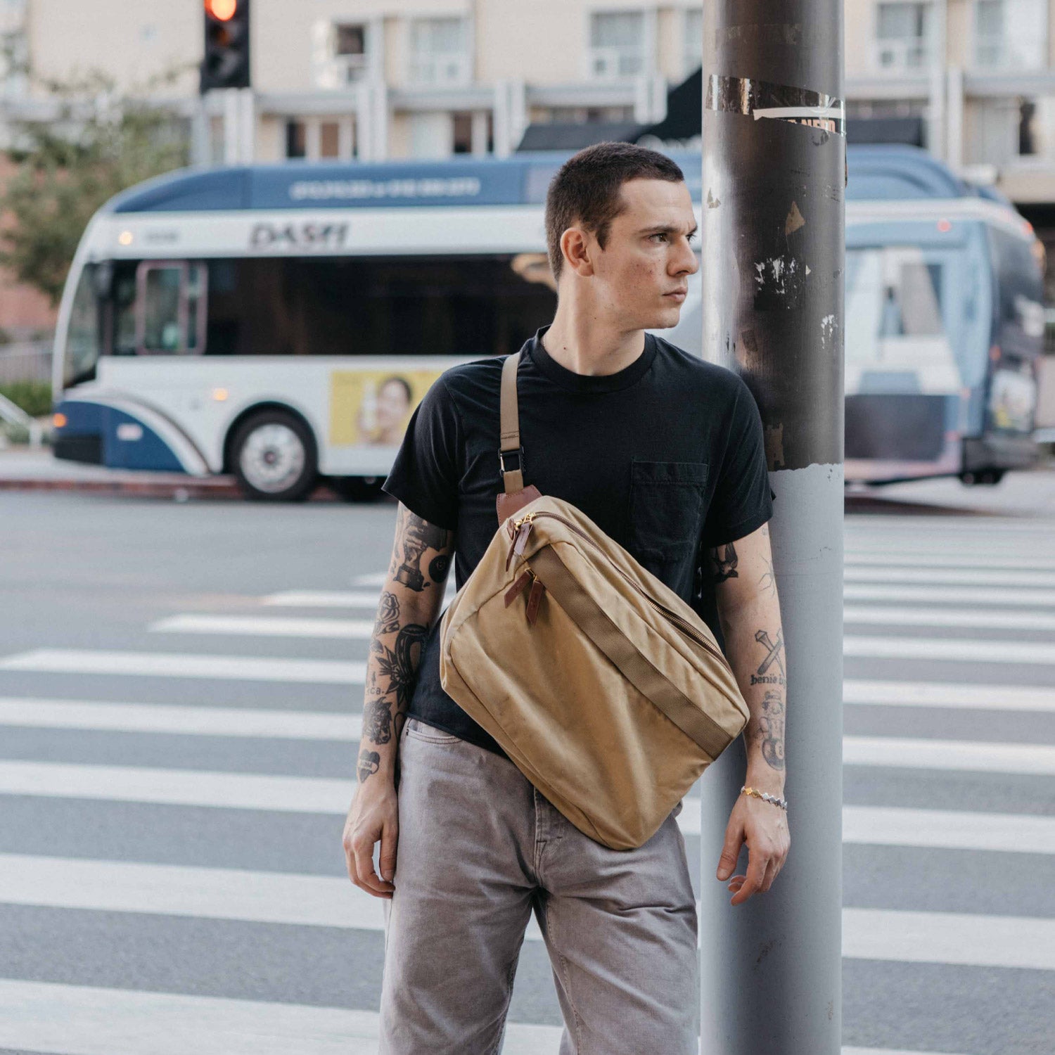 b3.jpg?v=1728699165&width=1946