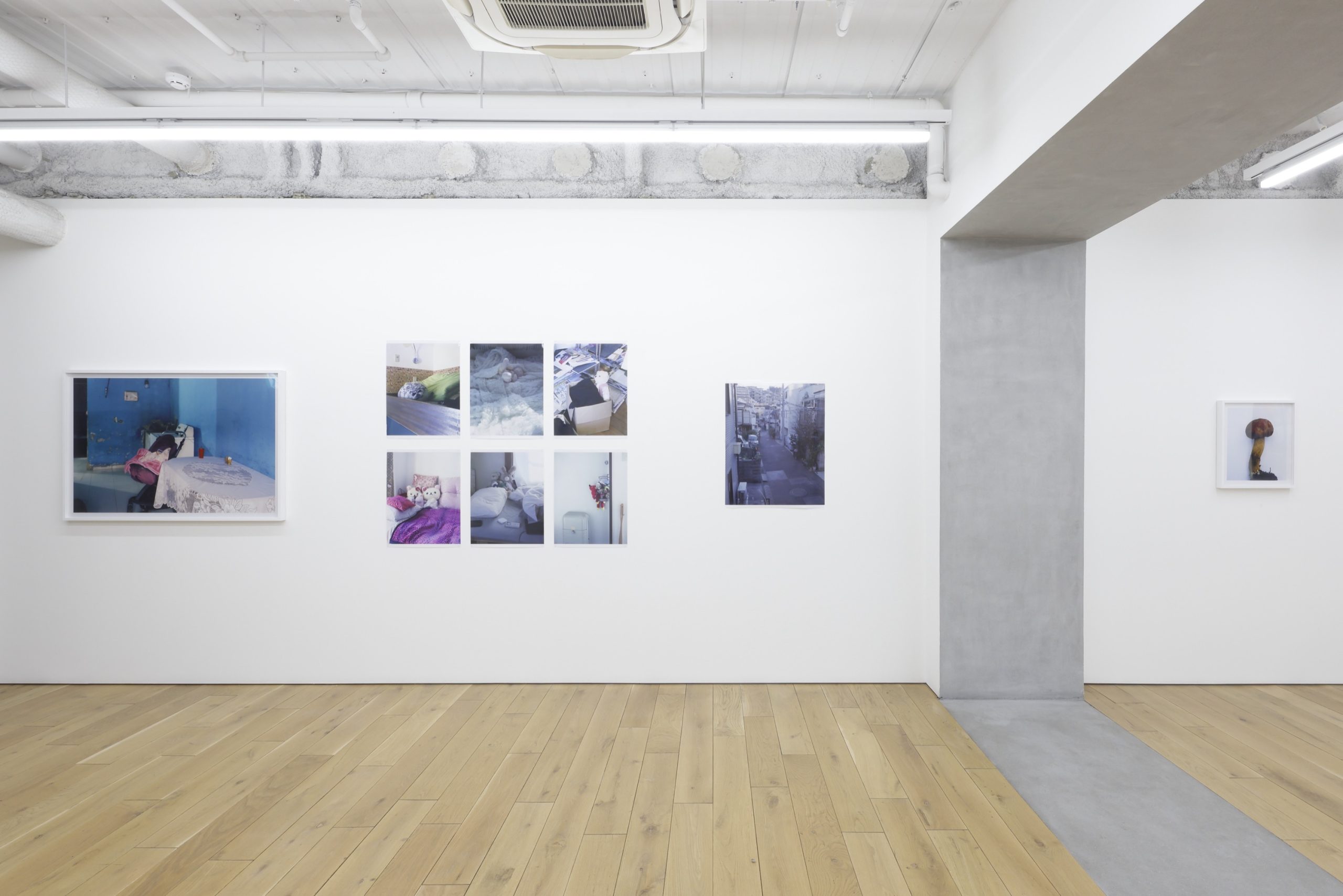 Takashi Homma「TAKASHI HOMMA 2025」 | TARO NASU