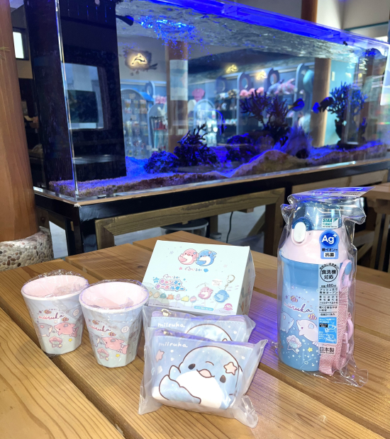 みいるかPOPUP』商品入荷しました🌟 | 新着・イベント情報 | うみたま