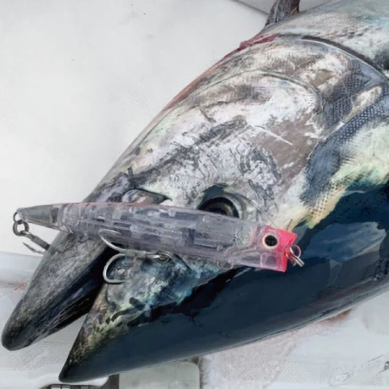 SALE】シマノ オシア バブルディップ220F FB XU-P22T：005 Fグリーン