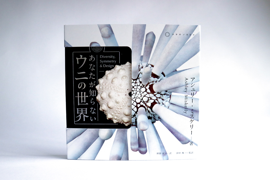 あなたが知らないウニの世界、出版のお知らせ – 株式会社ウサギノネドコ