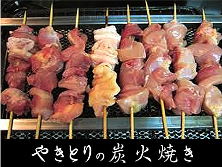 ウシオ製作所 株式会社（高知県南国市）｜商品紹介 備長波（品番 KiG62B）