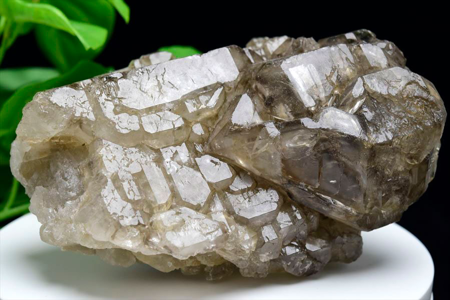 アリゲータークォーツ（ジャカレー水晶）エレスチャル 原石｜アップ