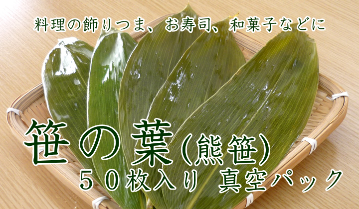 from日本海 - 国産 熊笹(生笹)笹の葉 50枚入りの販売