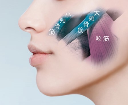 メディリフト プラス セラムセット』 2023年2月1日(水)より順次発売