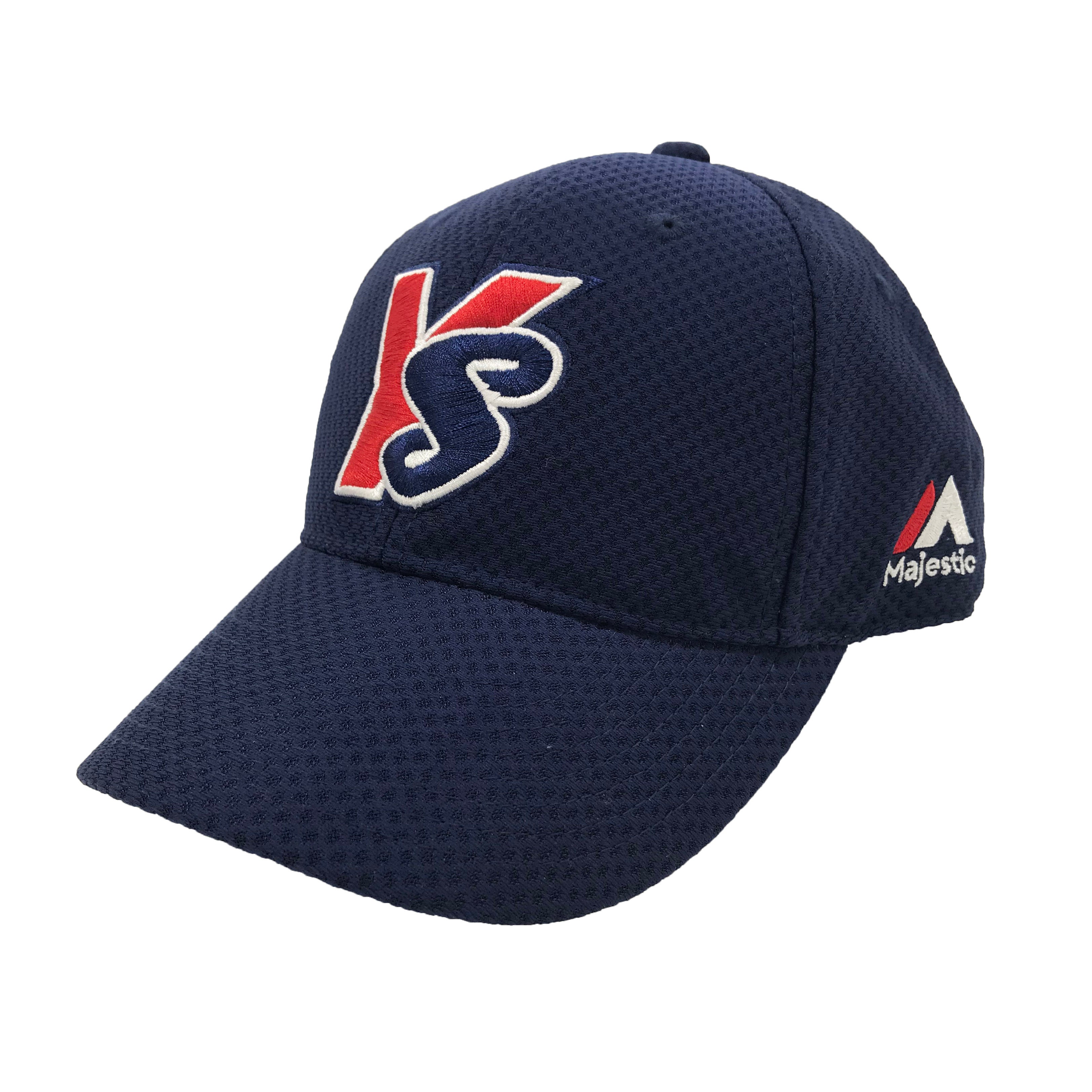 オープンハウス presents Swallows DREAM GAME | 東京ヤクルトスワローズ