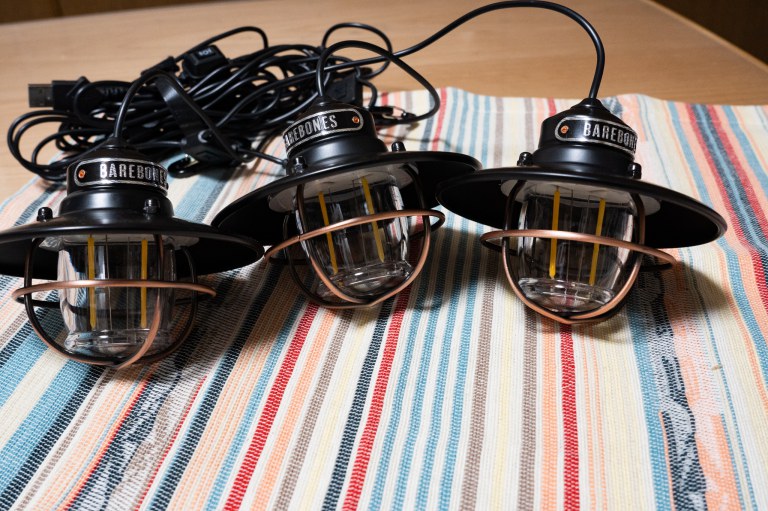 噂どおりすごかった！ベアボーンズのエジソンストリングライトと