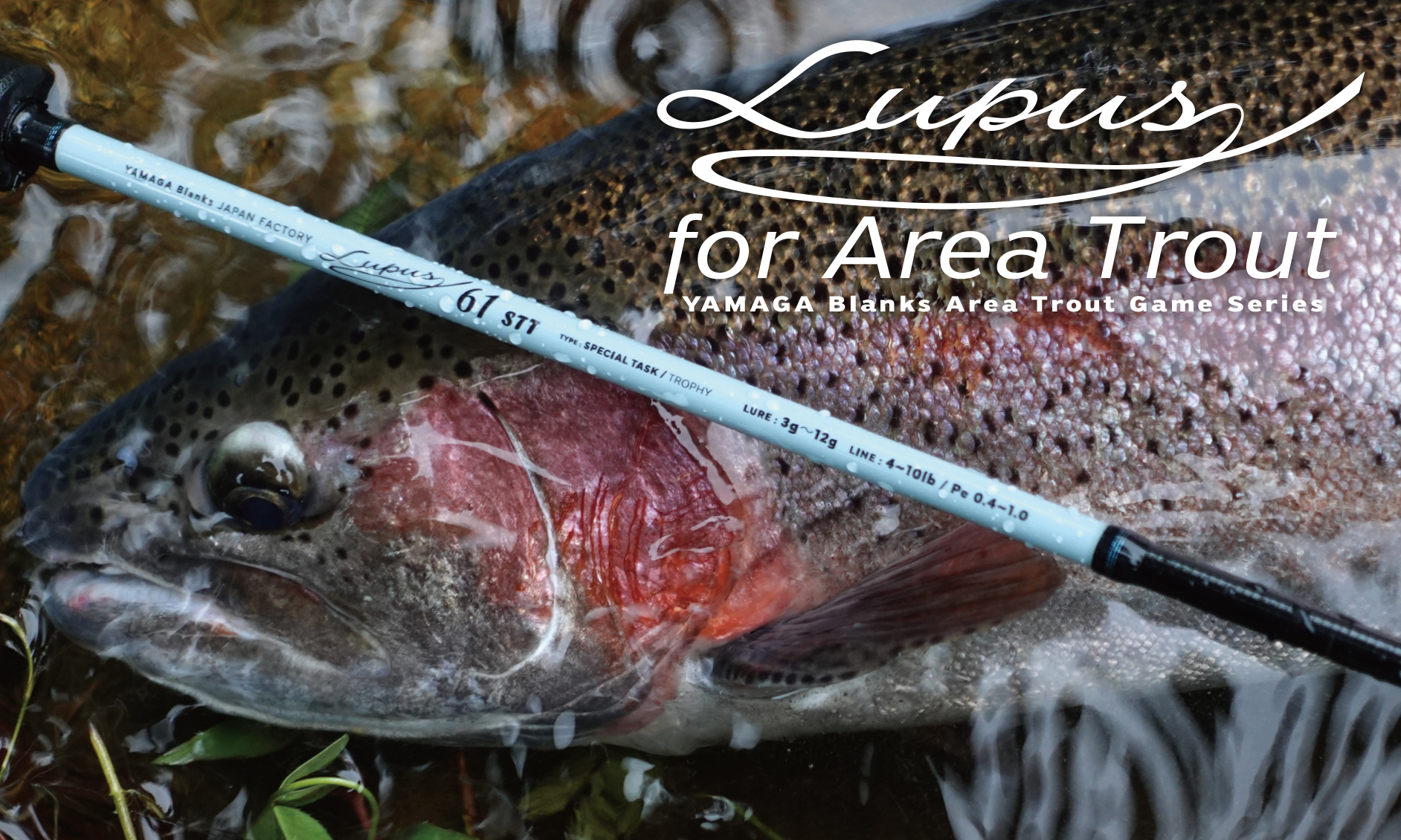 Lupus for Area Trout | YAMAGA BlanksYAMAGA Blanks