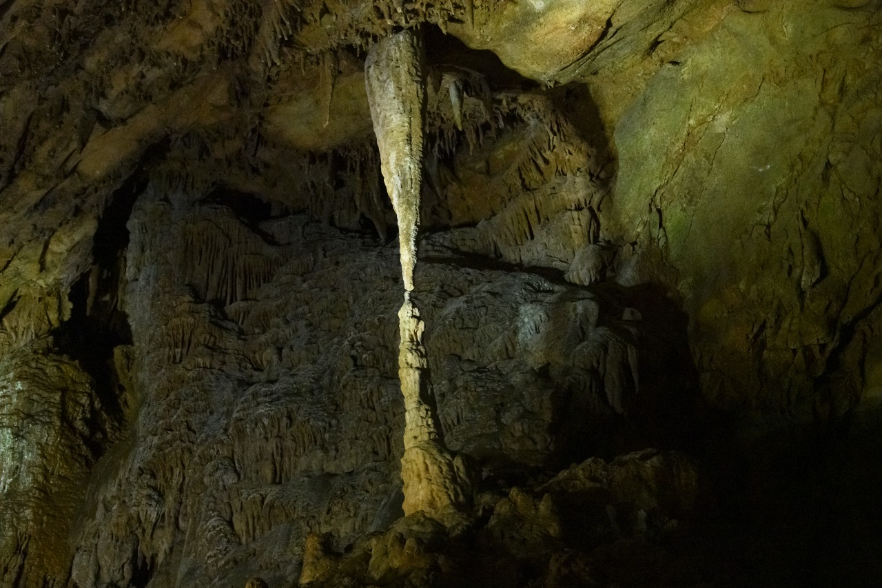 秋芳洞｜秋吉台の地下に広がる日本最大級の大鍾乳洞 【公式】山口県