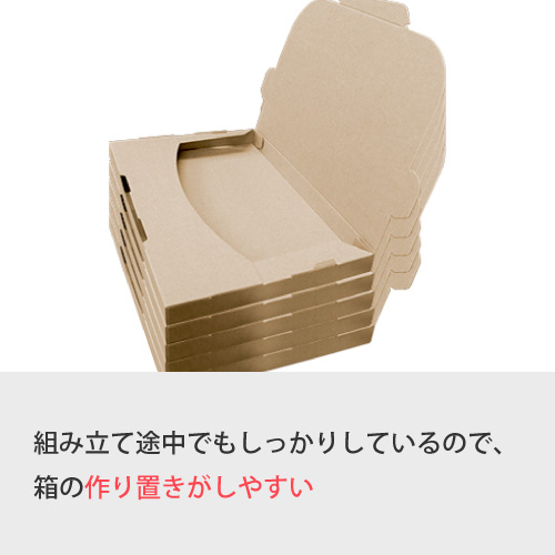 ZAP 差込み式メール便ケース クロネコDM便 ゆうパケットA5サイズ