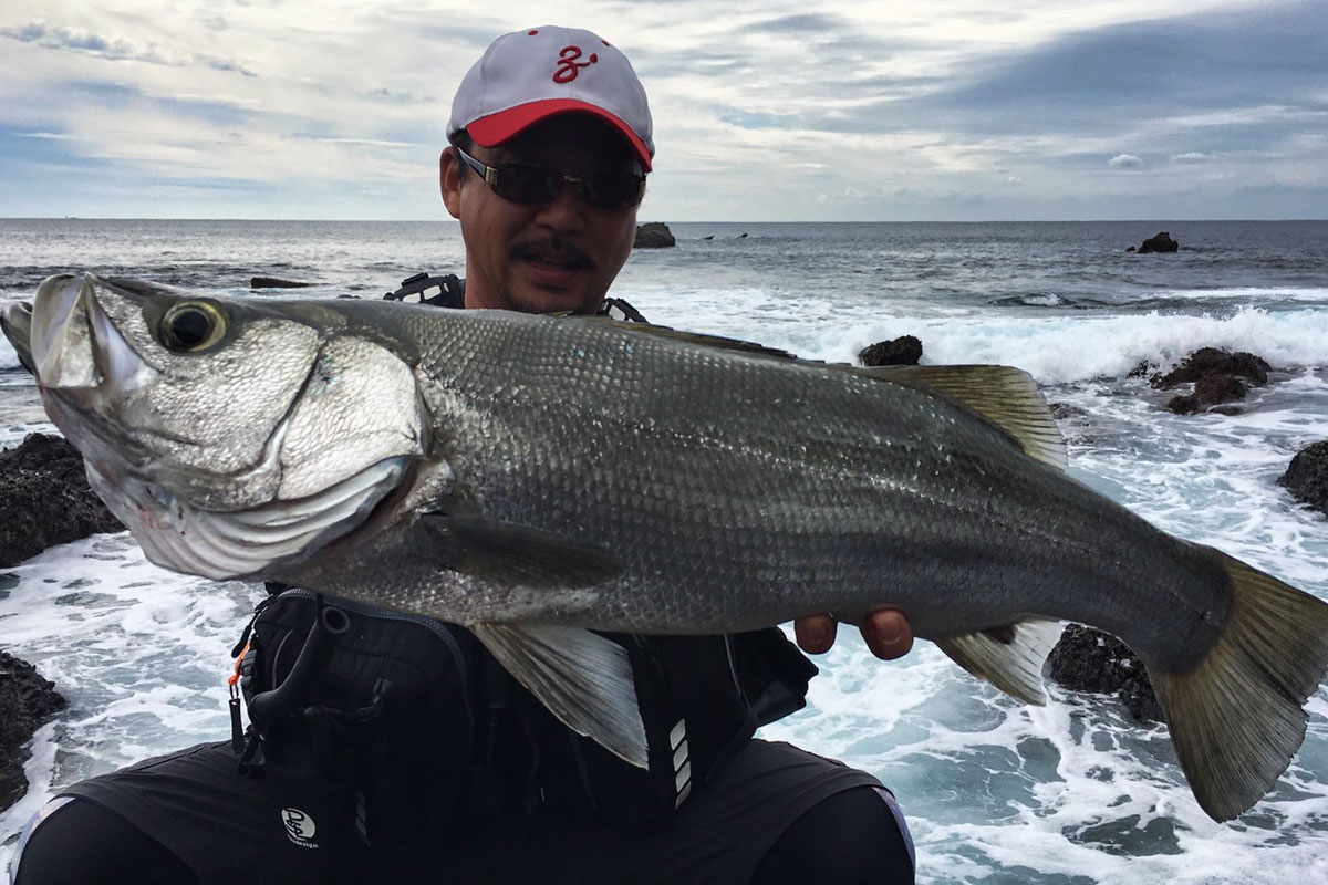 PLAISIR ANSWER - ZENAQ | Official-Web