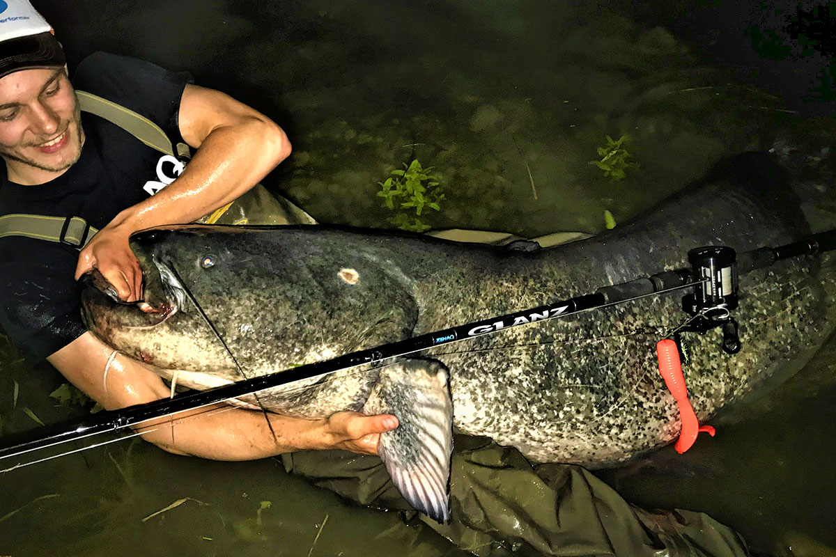 レイジーさん専用 ZENAQ GLANZ B78-10X ゼナック グランツ 専用 ZENAQ