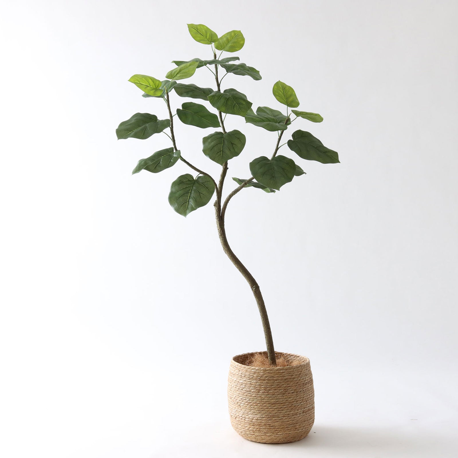 No9266 プレミアム光触媒フェイクグリーン 「しなやかな幹線 × 存在感