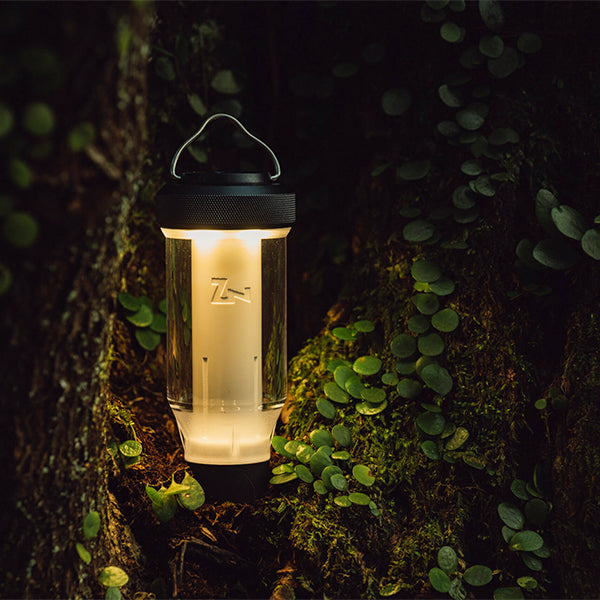 ゼインアーツ ジグ LT-003 – aandfonlinestore