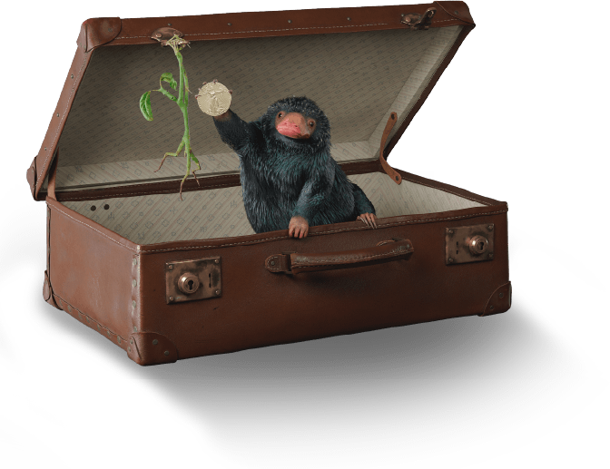 agete｜アガット ジュエリー | ファンタスティックビーストとの