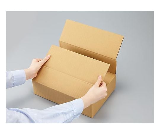 64-5201-24 取り出しやすい容量可変式ダンボール A4 10枚 4316-4486