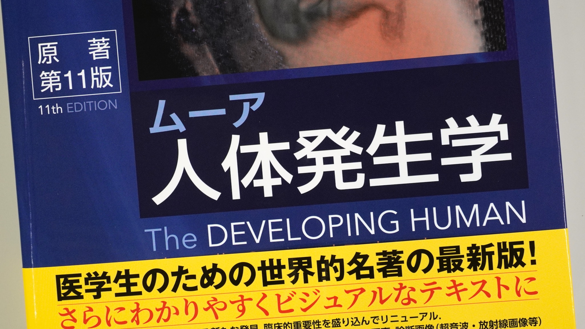 ムーア人体発生学 原著第11版 / Anatomy 今日も明日も/ムーア人体発生