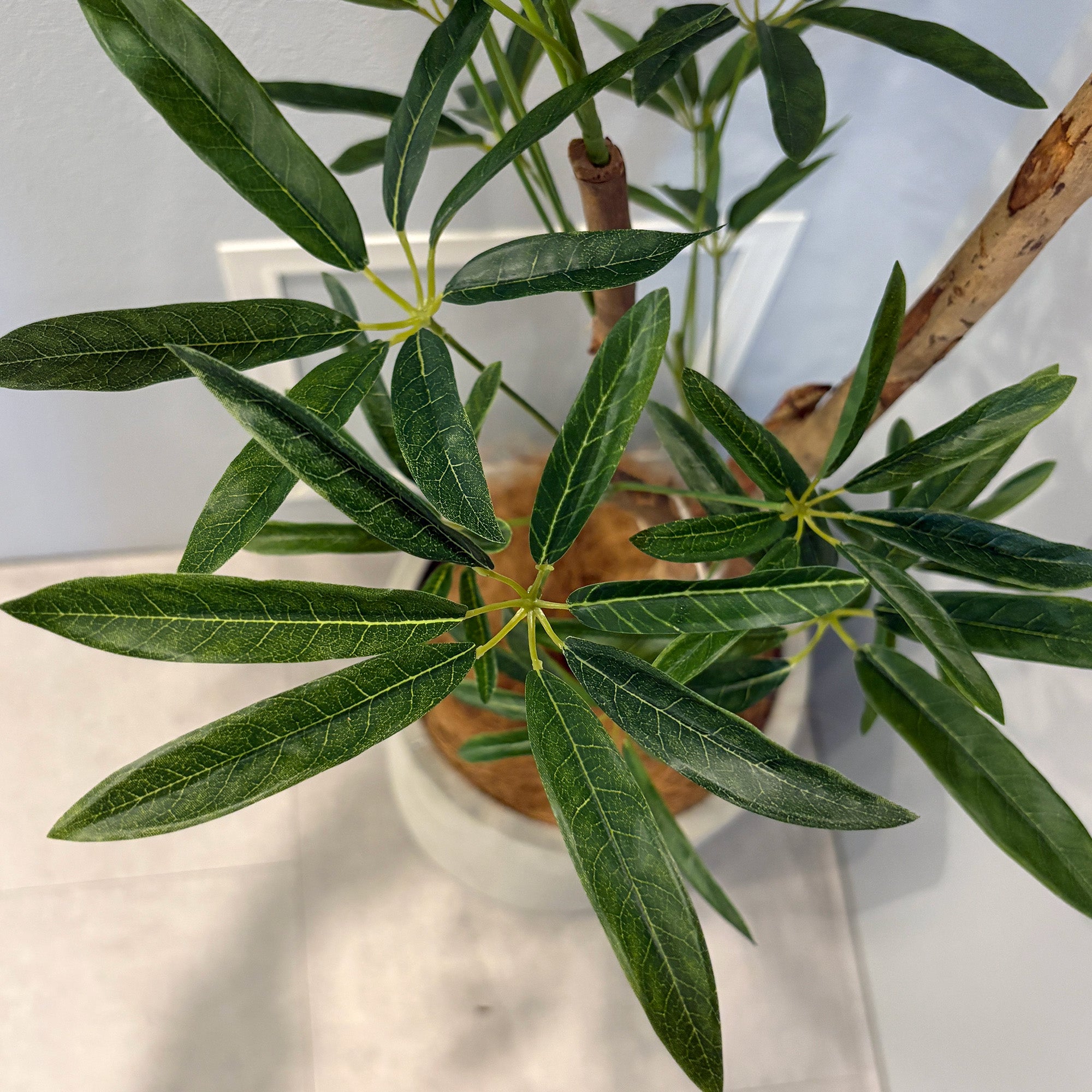 大型フェイクグリーン】シェフレラアンガスティフォリア 180cm