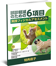 誤診軽減のための6項目 実践フィジカルアセスメント | 株式会社 医療