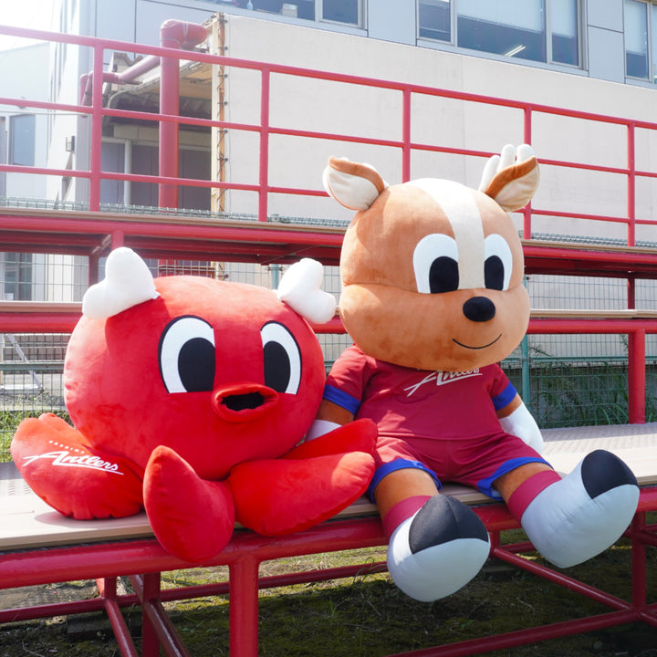 DSC04374-Photoroom_720x.jpg?v=