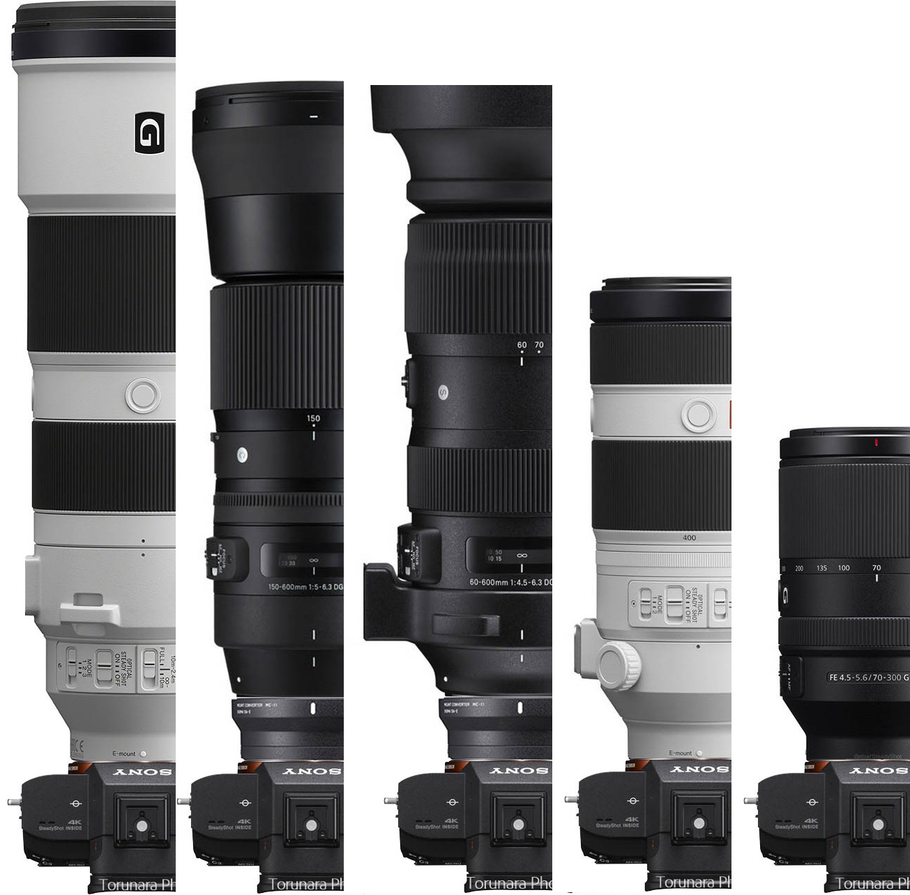 ソニーFE 200-600mm F5.6-6.3 G OSSは買いのレンズか？既存レンズと
