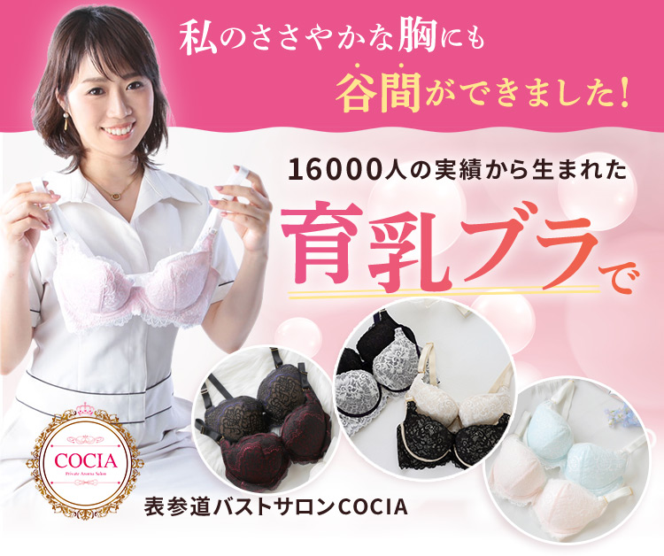 美胸ブラジャー販売ページ | 表参道バストサロンCOCIA