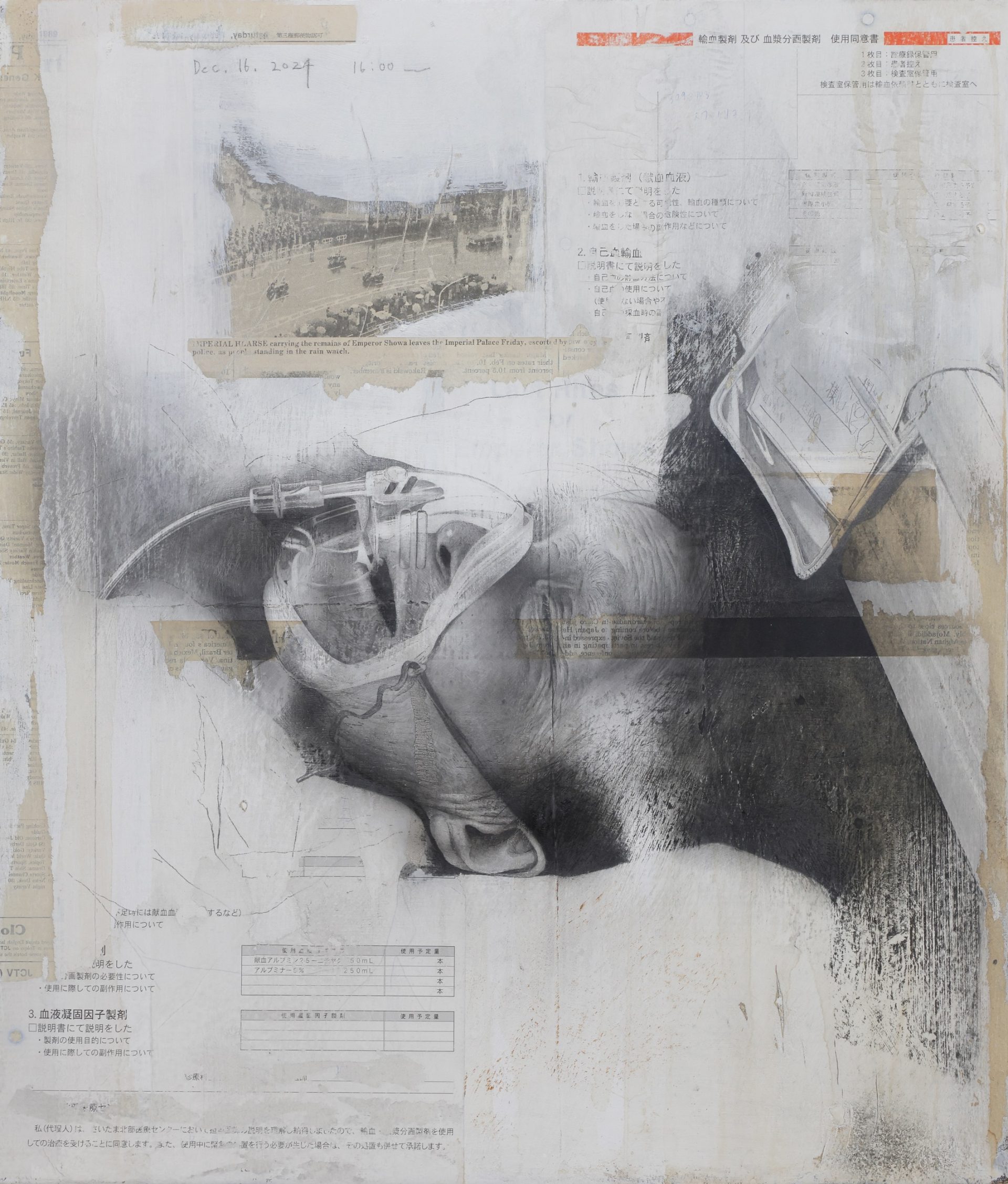 諏訪敦｜きみはうつくしい – artscape