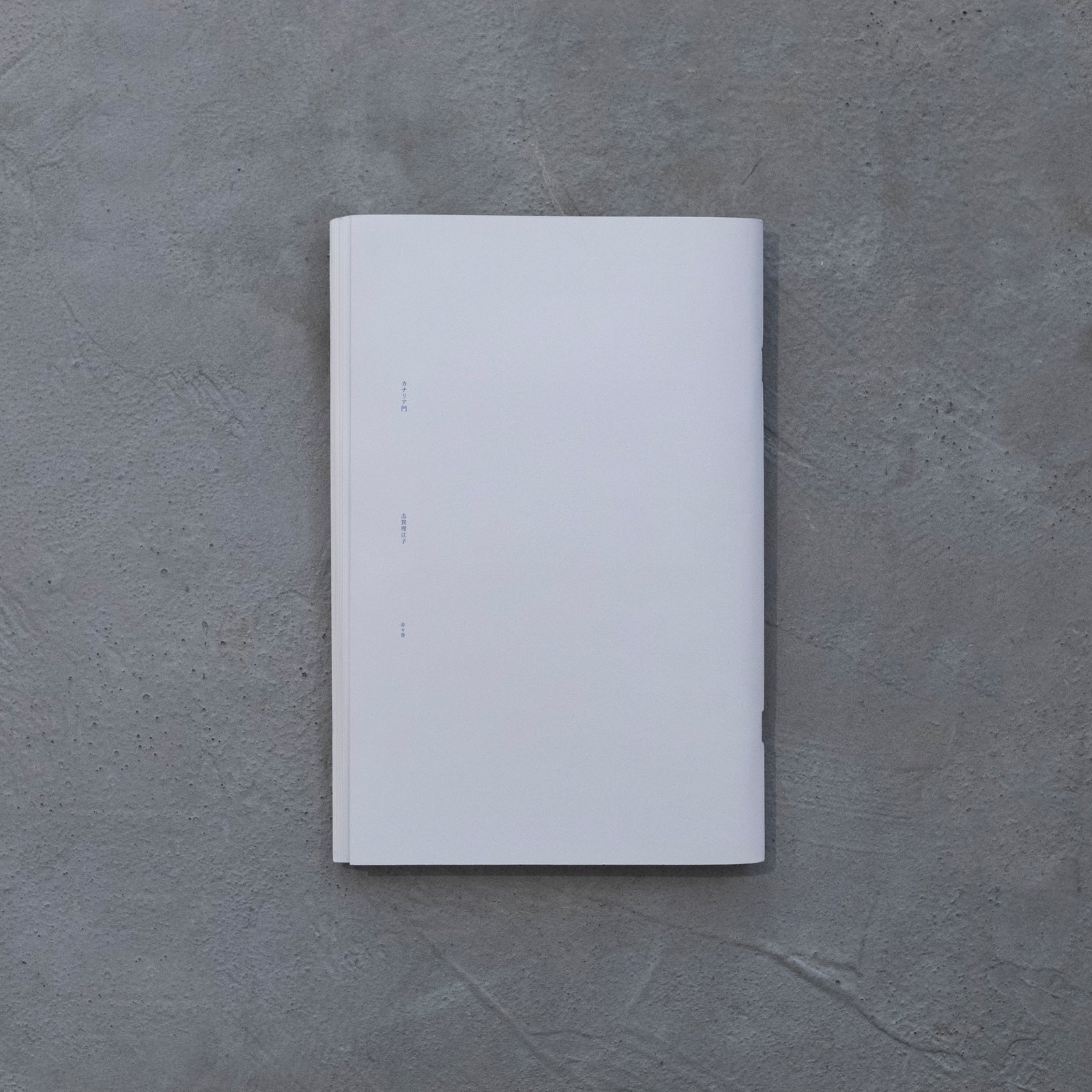 カナリア門｜志賀理江子 – At Sea Day