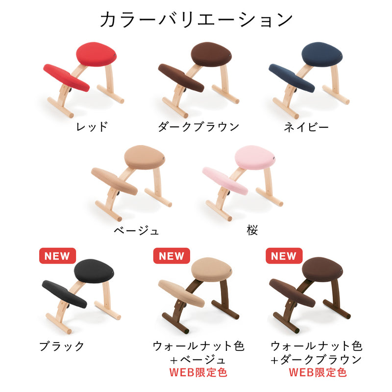 ラクに姿勢がよくなる椅子｜バランス イージー バランスラボ