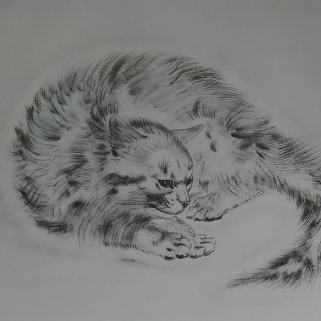 27f3d6d58f43357aa3cc1100bdff94