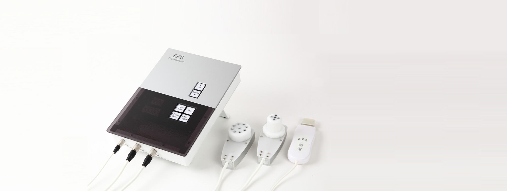 エレクトロポレーションのご紹介ページ | SUZUYA