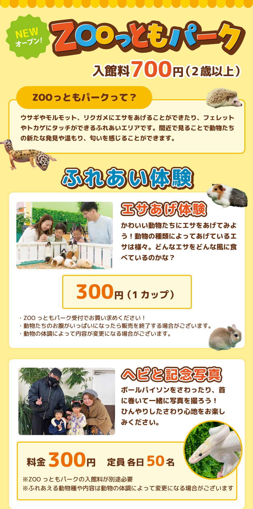 ZOOっともパーク - 体験型水族館とおもちゃ遊園地 南知多ビーチランド