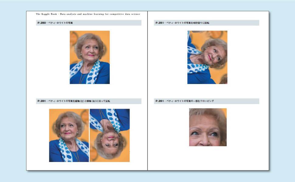 The Kaggle Book：データ分析競技 実践ガイド＆精鋭31人インタビュー