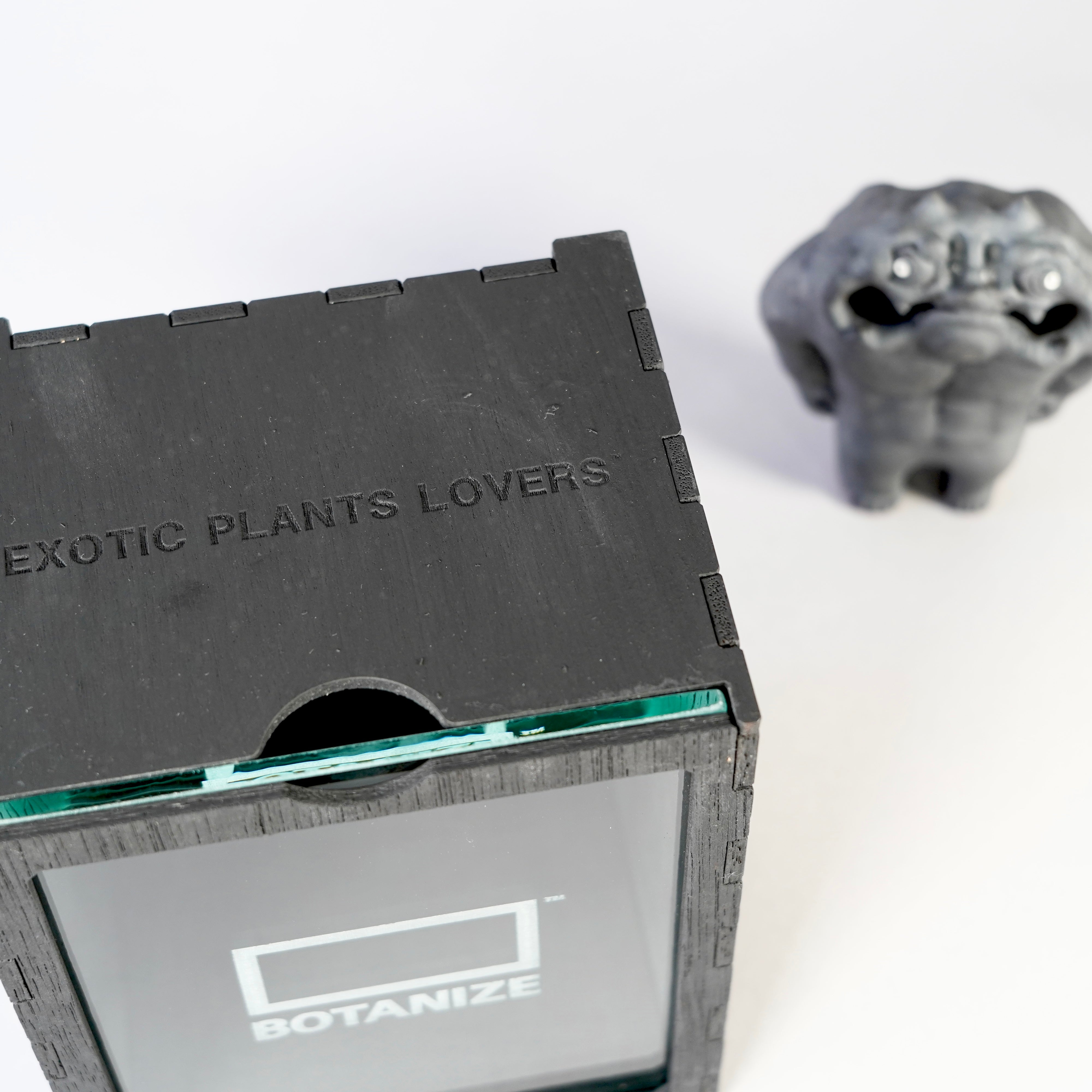 TENDOBOTANICAL 「鬼ん形」 – BOTANIZE