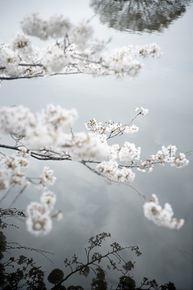 TERRI WEIFENBACH Saitama Notes of Blitz Gallery