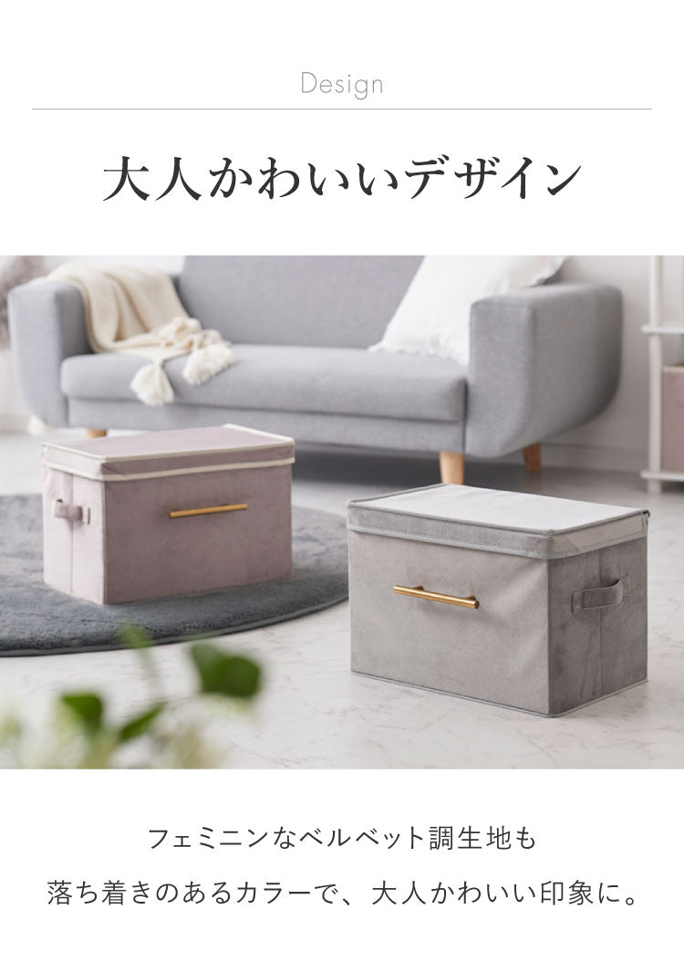 デザインストレージボックス 2個セット 収納 幅38cm 折りたたみ 蓋付き