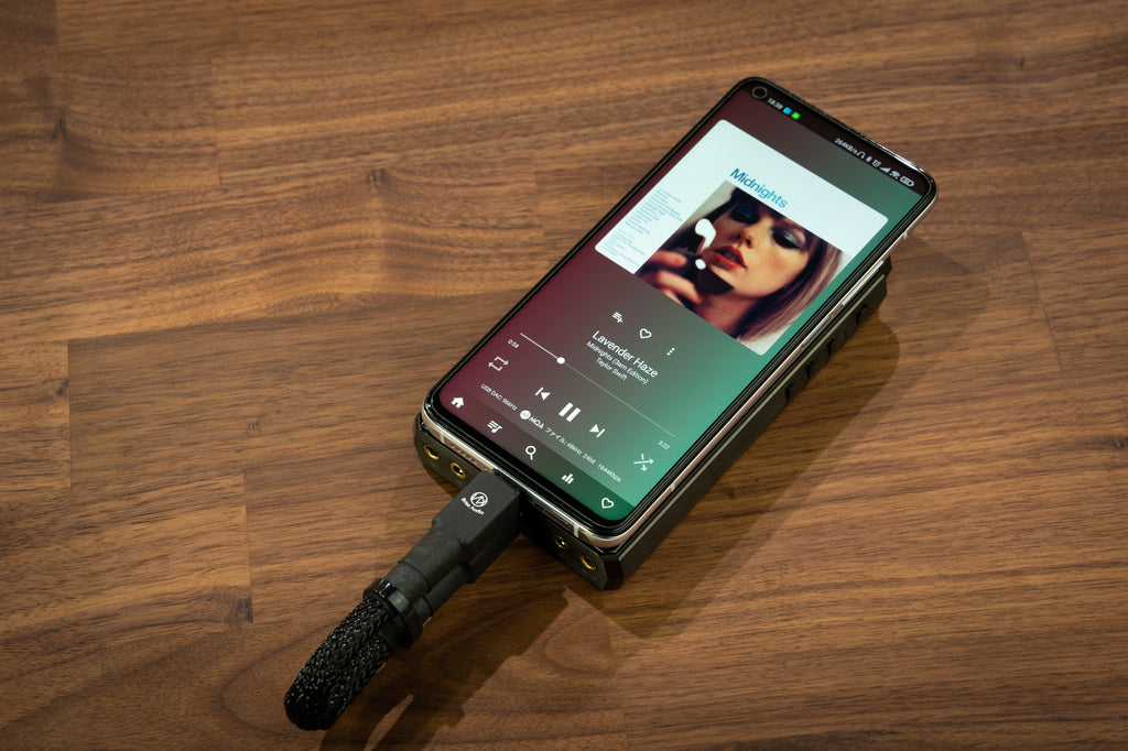 オーディオ向けUSBケーブル ACCURATE-USB TYPE C to C (USB 2.0対応