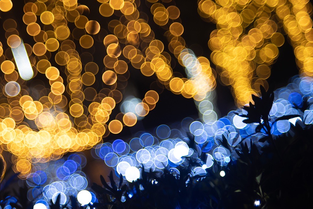 バブルボケでいこう！FUJINON 55mm F2.2｜レビュー＆作例 - くららの