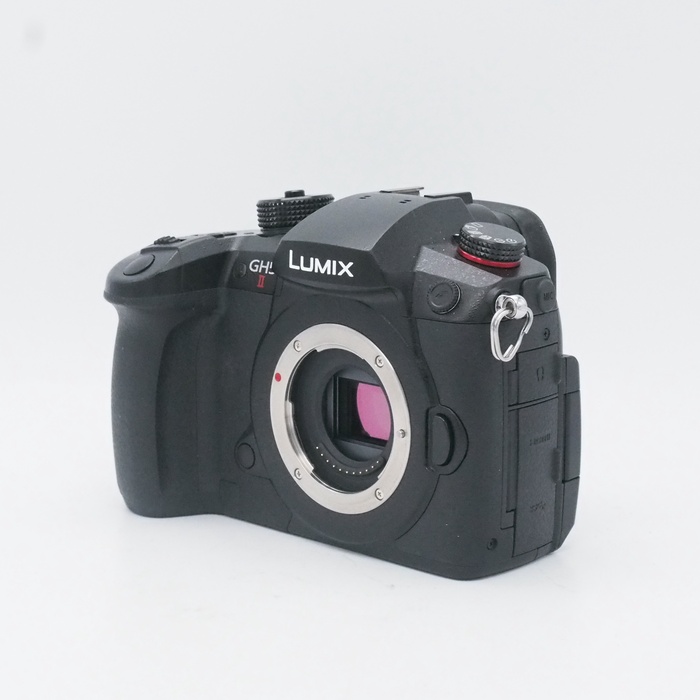 中古】パノン WIDELUX F8｜ナニワグループオンライン｜2111060058035