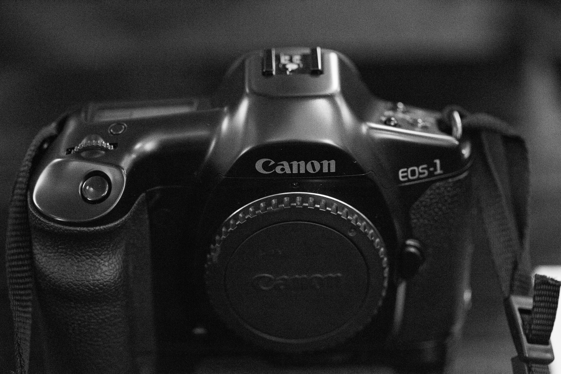 28年後も安心して使える 初代EOS-1｜Camoor -カメラの楽しさを提案する